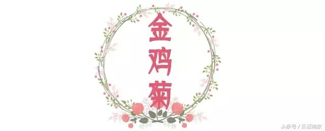 南京是一座很美的城市,南京最让人震撼的城市