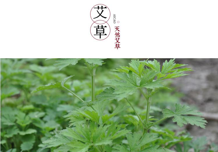 艾草止痒祛湿最好的方法,端午艾草有这种妙用