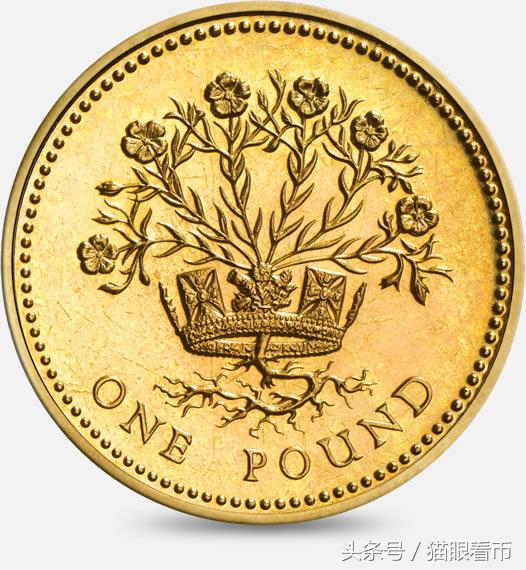 英镑硬币哪种最值钱,英国190几年的旧硬币哪种最值钱