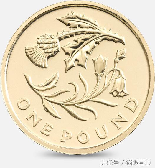 英镑硬币哪种最值钱,英国190几年的旧硬币哪种最值钱