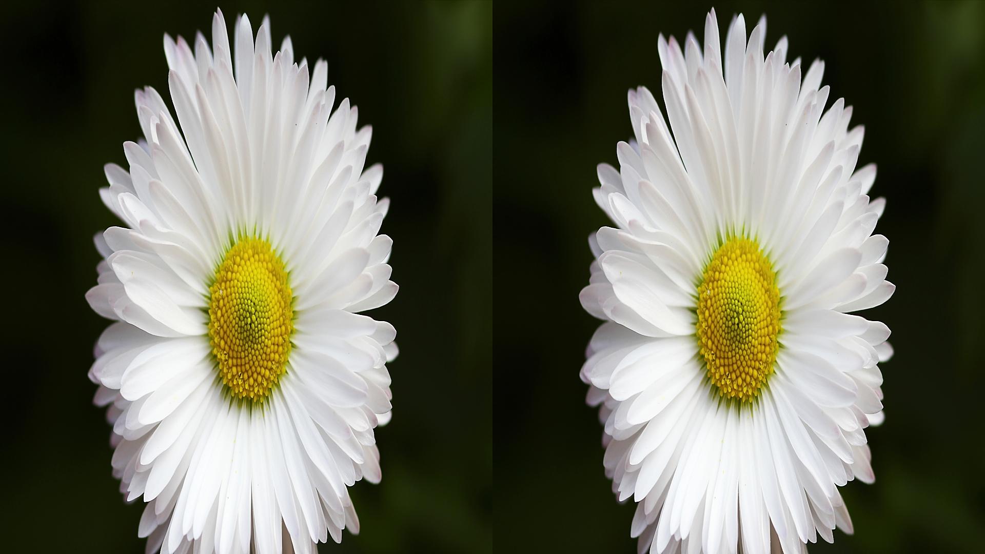 ivvik5手机,ivvi手机好用吗