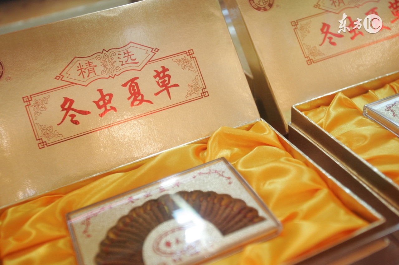 冬虫夏草的真实历程,冬虫夏草深度解析