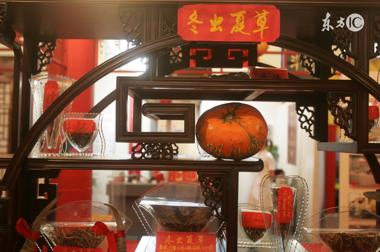 冬虫夏草的真实历程,冬虫夏草深度解析