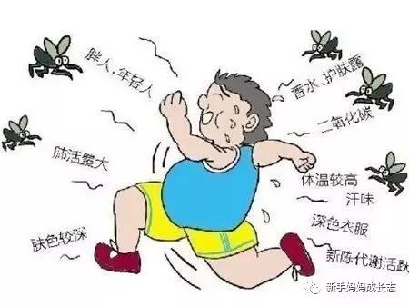 疱疹性荨麻疹怎么治丘疹性荨麻疹,荨麻疹儿科