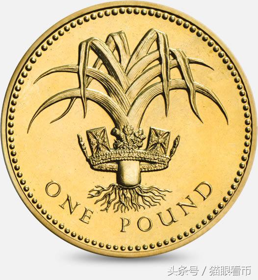 英镑硬币哪种最值钱,英国190几年的旧硬币哪种最值钱