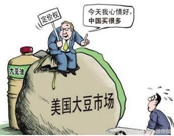 进口美国大豆国内大豆会掉价么,中国最近又进口转基因大豆的新闻