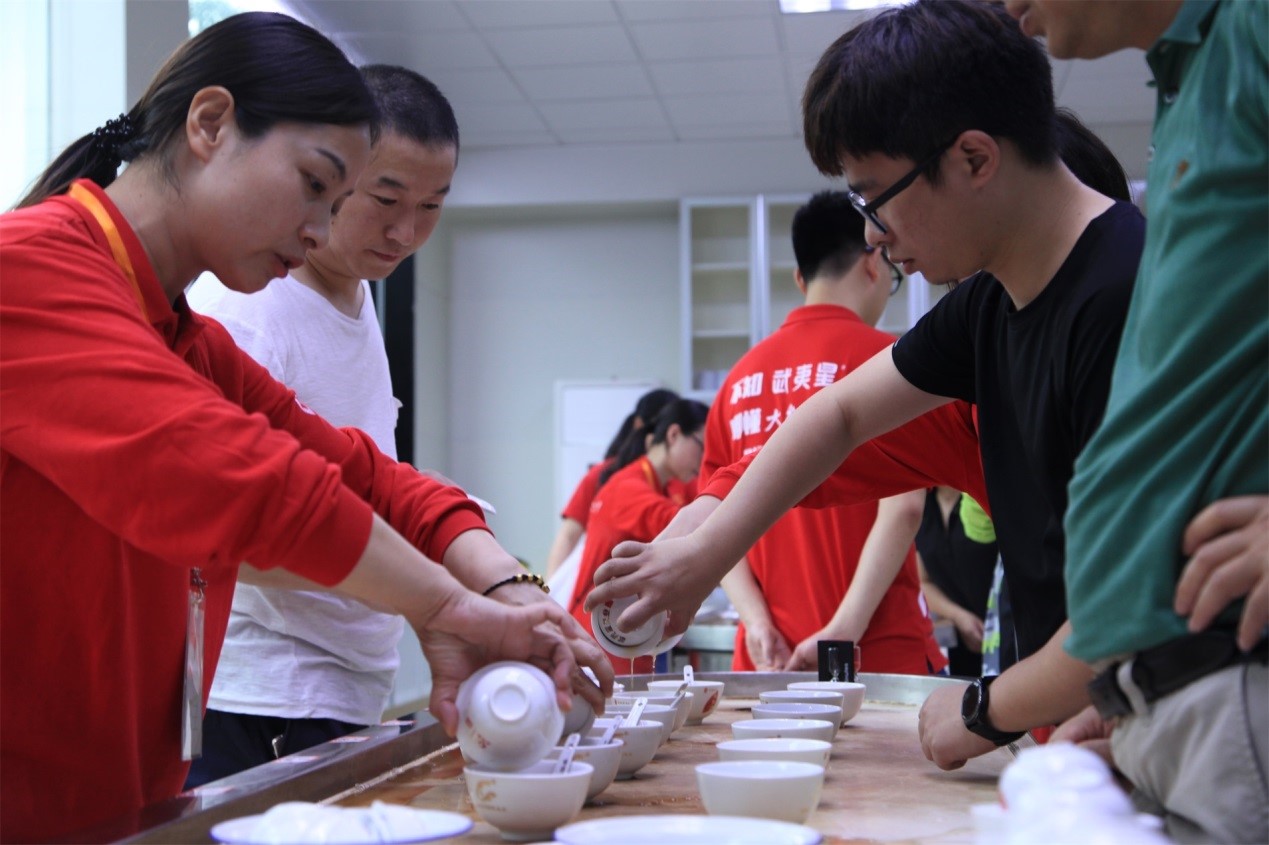 武夷星茶洞肉桂201品鉴,武夷山春茶