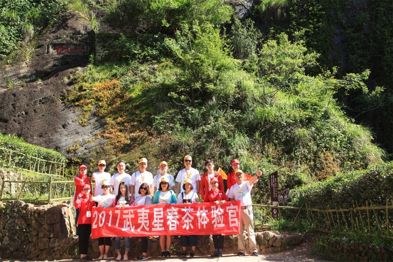 武夷星茶洞肉桂201品鉴,武夷山春茶