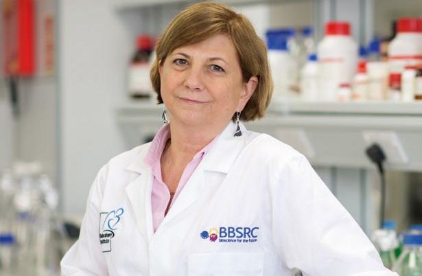 人物：「天空的另一半」：推进人工智能研究的二十一位杰出女性