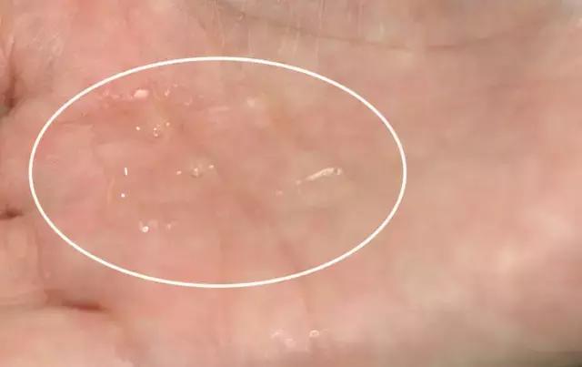 高端护肤水推荐前十名,护肤水推荐前十名直播