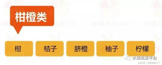 水果分类分为哪几类,超市水果分类表一览表