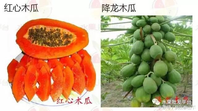 水果分类分为哪几类,超市水果分类表一览表