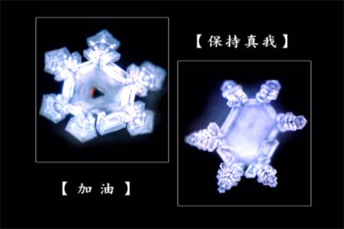 腰间盘突出治愈真实案例,腰间盘突出发病时正确锻炼方法