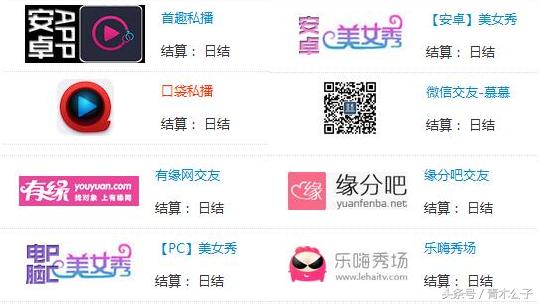 怎么用cpalead赚钱,cpa搭建网站赚钱