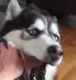 咽口水强迫症,总是想咽口水强迫症