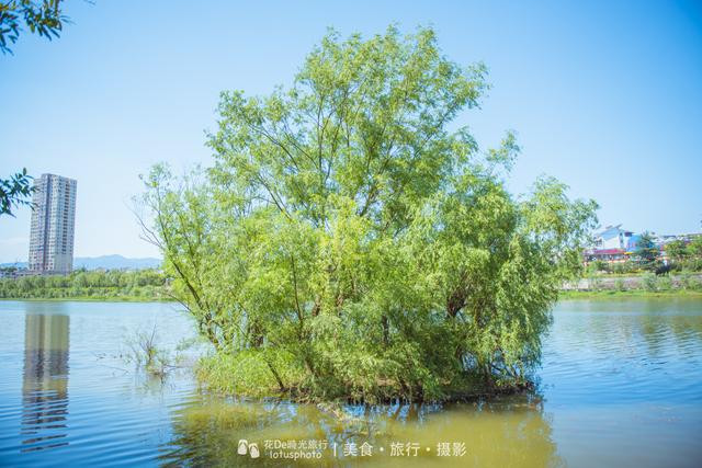 云在青天水在瓶深度讲解,云在青天水在瓶全文