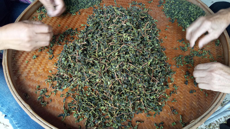 如何正确分辨真假铁观音,别再说买不到正宗的铁观音了