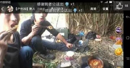 去野外采蘑菇意外发现巨毒蘑菇,采蘑菇发现毒蘑菇