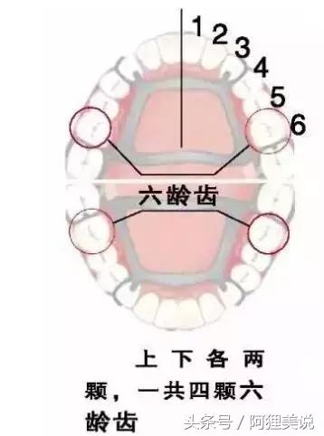 小孩子牙齿全部烂光,五岁男孩牙齿全烂了