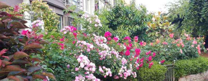 大连居民小区物业业主自管,大连某小区