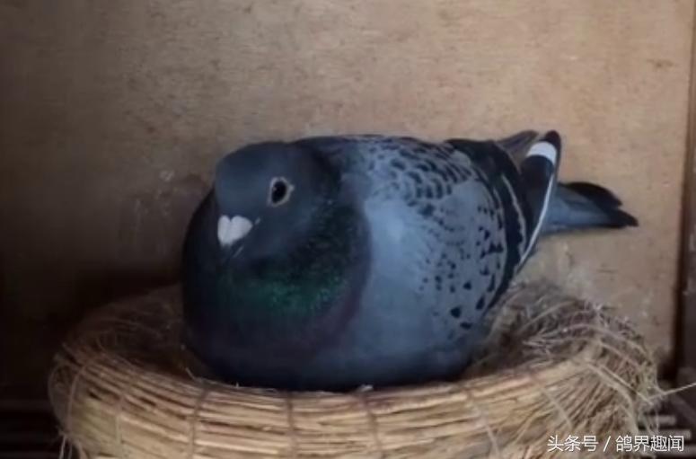 涨知识和方法,涨知识的秘诀