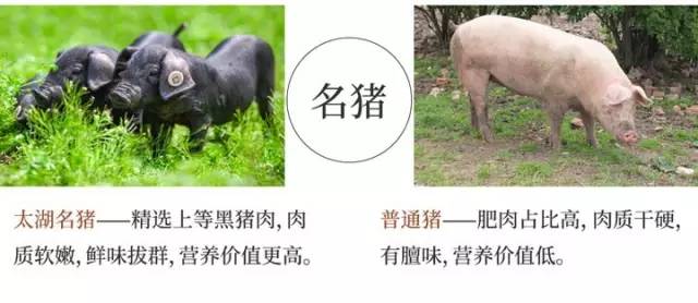 让金庸念念不忘的粽子，原来是这样的滋味