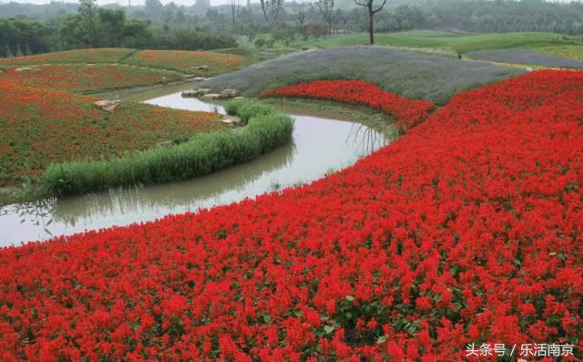 南京是一座很美的城市,南京最让人震撼的城市