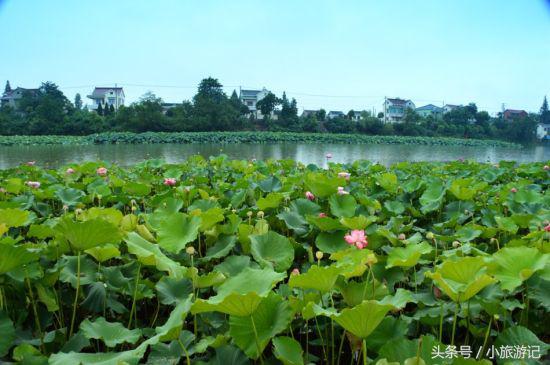 江苏省强镇扩权名单,强镇扩权试点镇