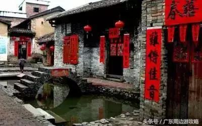 广东普罗旺斯花海,普罗旺斯的薰衣草紫色花海