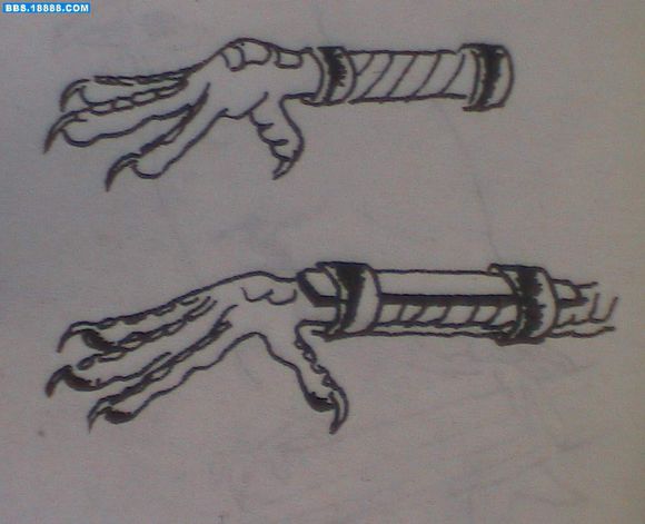 宠物八哥基础知识,八哥预防各种疾病