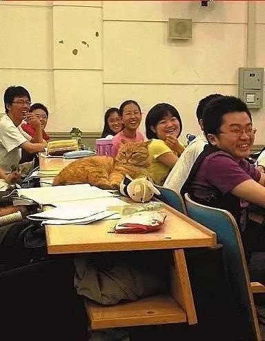 复旦新闻学院研究生,复旦读研究生怎么样