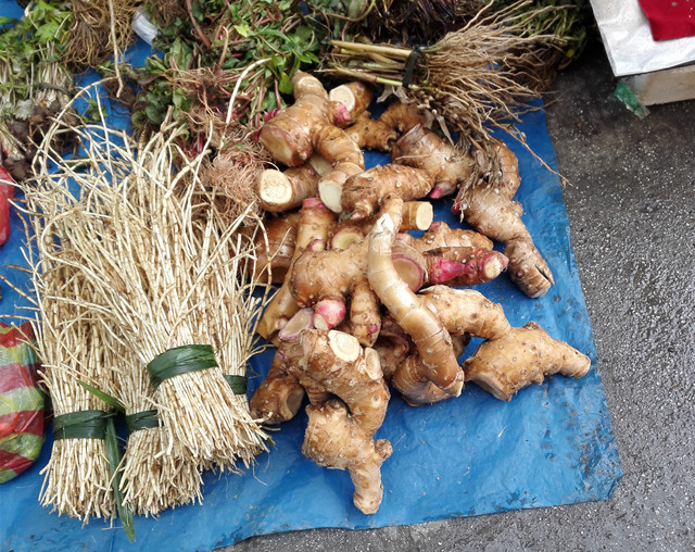 吃了治胃中药反而胃胀是什么原因,胃酸胃胀反酸水烧心服用什么中药