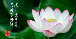 介绍一下湖南岳阳,湖南岳阳有什么出名的地方吗