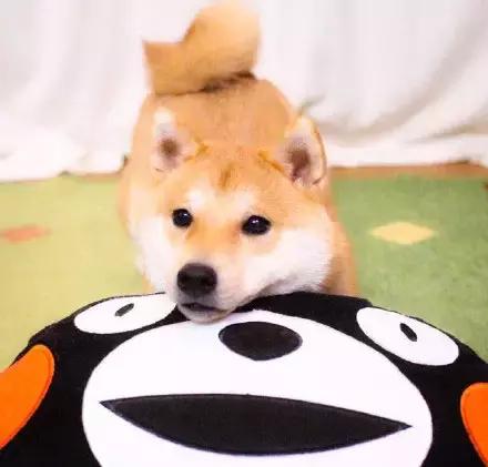 这就是别人家的员工餐视频,这就是别人家的爸爸原版视频