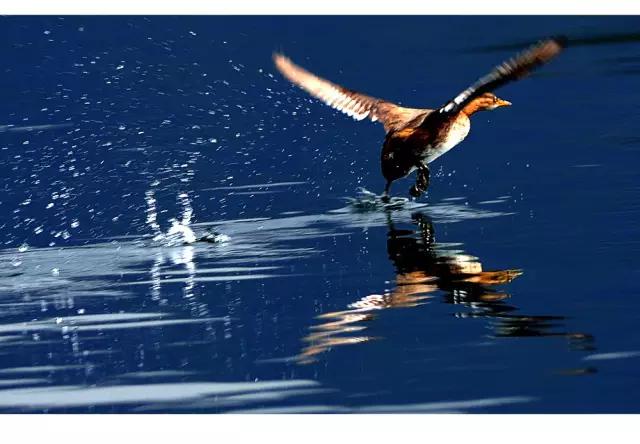 最美湖泊排名,云南9大高原湖泊