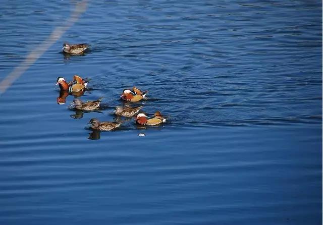 最美湖泊排名,云南9大高原湖泊