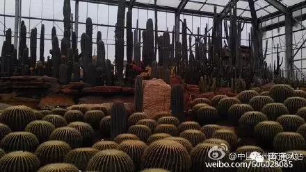 南通人可以免费的景点,南通人都去哪里玩