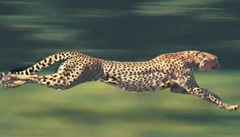 电脑玩游戏卡不掉帧,电脑玩游戏卡了切不了屏