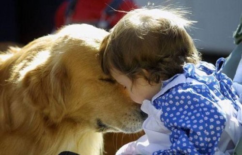 名字奇怪的宠物,好听又奇怪的狗狗名字