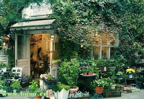 要开花店需要掌握哪些知识,开花店需要什么手续和费用