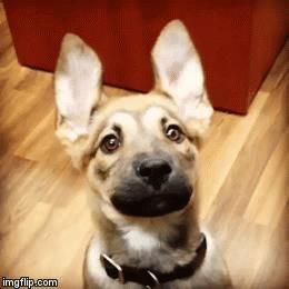 歪脖拯救世界,歪着脖子拯救地球图片