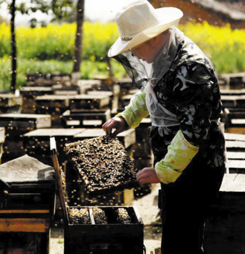 60年，4个人关于槐经济不得不说的故事