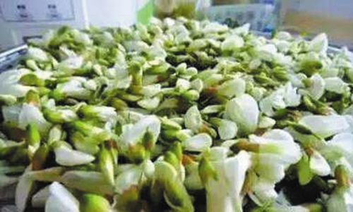 60年，4个人关于槐经济不得不说的故事