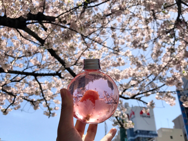 日本签证免银行卡,日本签证和再留资格不一样吗