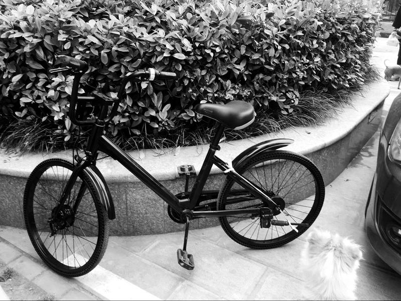 染成黑色拆掉二维码藏进小区谁在肆意“虐待”共享单车