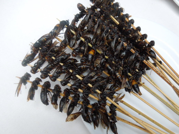 意外的美开头,意外的美好英语