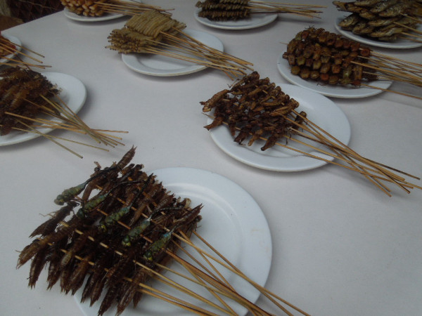 意外的美开头,意外的美好英语