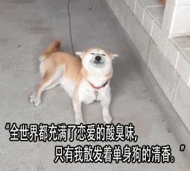 理工男闷骚,理工闷骚男