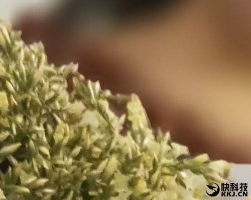 金立s10手机6+128,金立s10128g多少钱