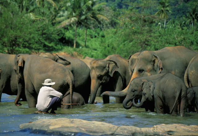 斯里兰卡宝石黄宝石,斯里兰卡印度宝石